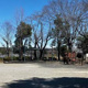 みつぎ台公園の画像