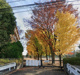 鶴ヶ島市立南中学校の画像