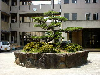 松原市立 松原東小学校の画像1