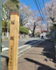 桜坂の画像