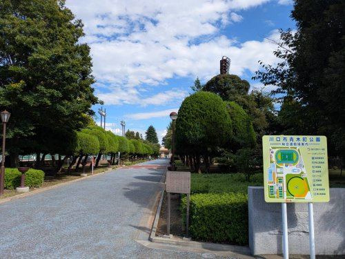 の画像