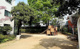 新高円寺公園の画像