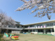 社会福祉法人豊誠会岐南さくら保育園の画像