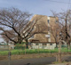 桶川市立桶川東中学校の画像