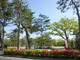 岡崎公園の画像