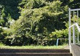 早稲田公園の画像