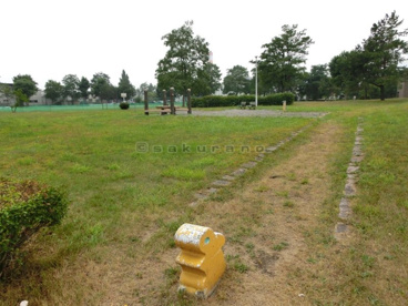 発寒いこい公園の画像2