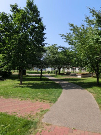 発寒三条泉緑地　はつなん公園の画像2