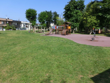 発寒三条泉緑地　はつなん公園の画像3