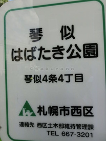 琴似はばたき公園の画像1