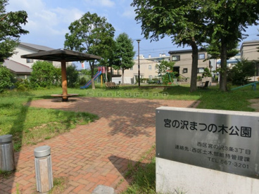 宮の沢まつの木公園の画像1