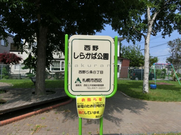 西野しらかば公園の画像1