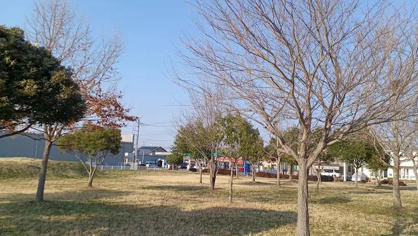 藤代駅南口1号公園の画像1