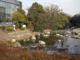 仙台堀川公園の画像