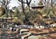 調布市立つつじヶ丘公園の画像