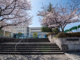 川西市立清和台小学校の画像