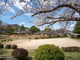 東池公園の画像
