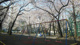 清花公園の画像