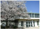 日野市立潤徳小学校の画像