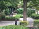 中央緑地公園の画像