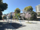 仲六郷三丁目第二公園の画像
