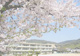 倉敷市立緑丘小学校の画像