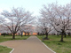河川敷中央公園の画像