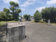 宇土東小学校の画像