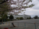 所沢市立富岡小学校の画像