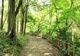 四季の森公園の画像