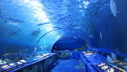 品川水族館の画像1