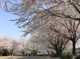南本宿公園の画像