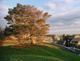 清水ヶ丘公園の画像