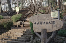 公園 中原雑木林公園