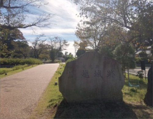 の画像