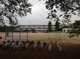 勝呂小学校の画像