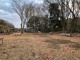 お山の公園の画像