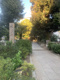 渋谷氷川神社の画像