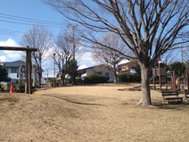 千津ふれあい公園