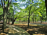 東京都立代々木公園
