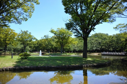 東京都立代々木公園の画像2
