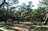 小和田浜公園