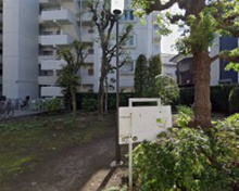 公園 みどりの広場