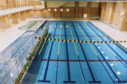 ひがし健康プラザ　温水プール の画像1