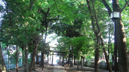 呑川緑道の画像1