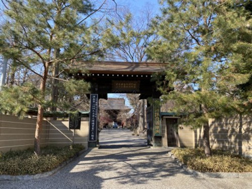 九品仏浄真寺の画像1