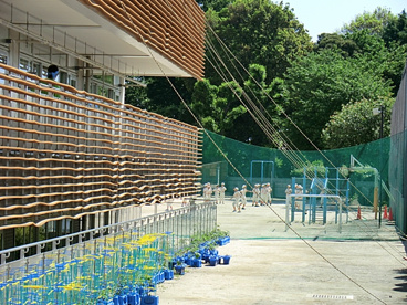 新座市立 大和田小学校の画像2