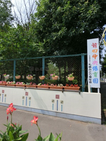前田中央保育園の画像2