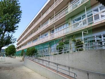 新座市立 八石小学校の画像1