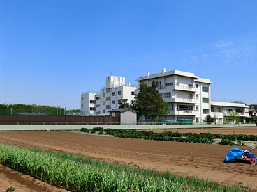 新座市立 新堀小学校の画像3